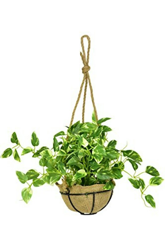 人工観葉植物 ハングキング 1