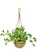 ドリス 人工観葉植物 ハングキング 1