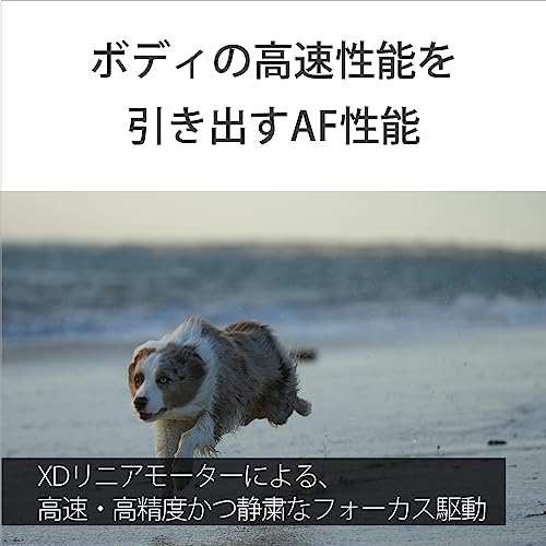 FE 70-200mm F4 Macro G OSS II 6