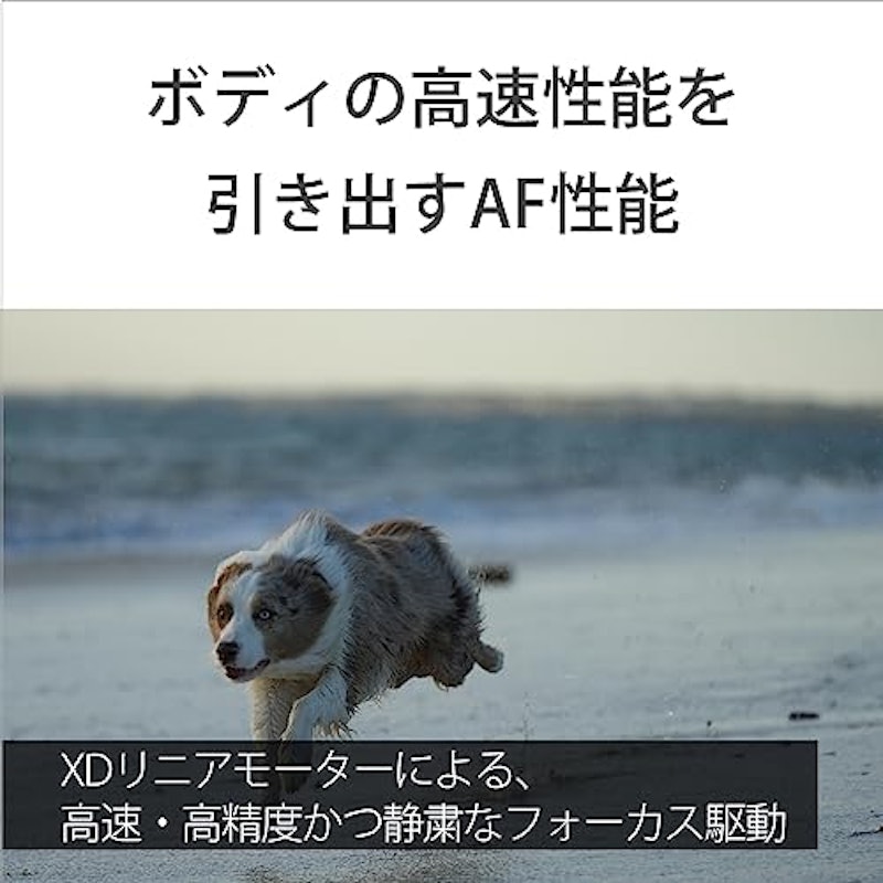 FE 70-200mm F4 Macro G OSS II 6