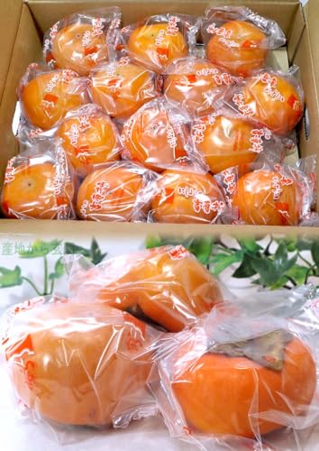冷蔵熟成 富有柿 5