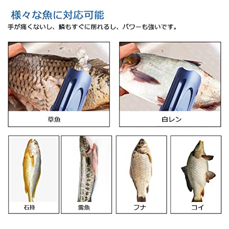 電動うろことり 2