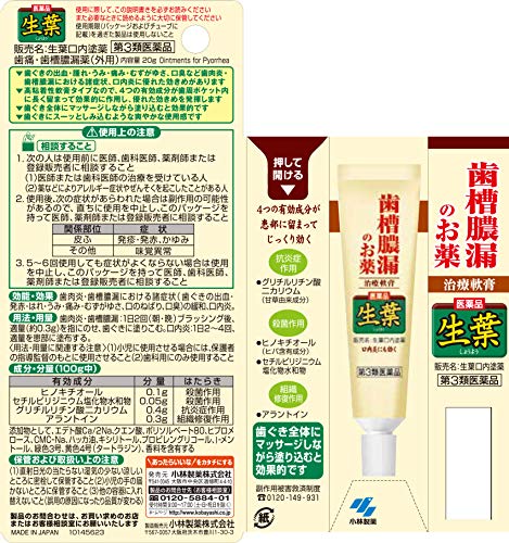口内塗薬 5