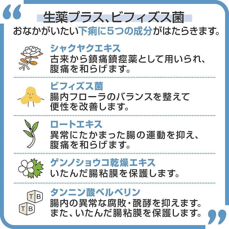 ビオフェルミン下痢止め 5