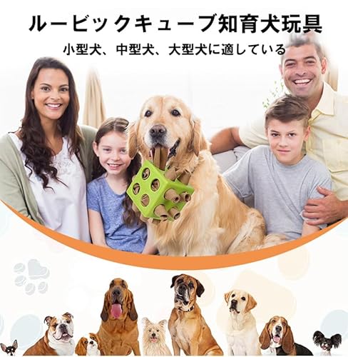 犬用おもちゃ 2