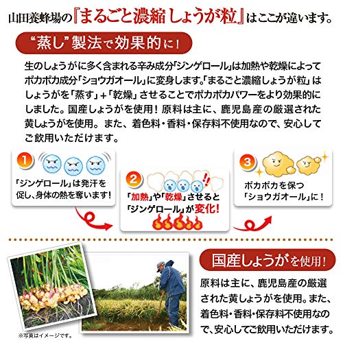 まるごと濃縮しょうが粒 3