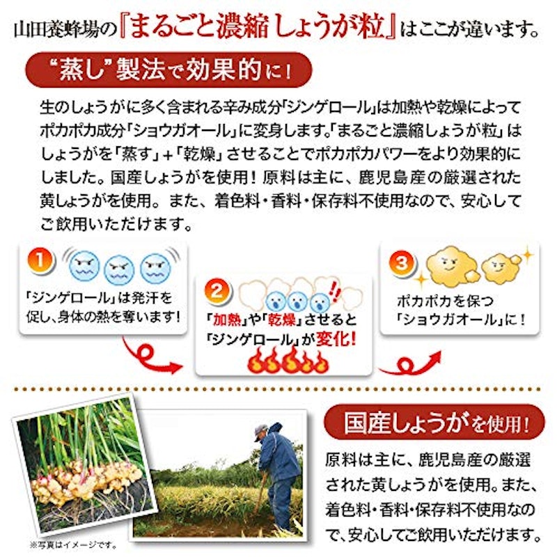 まるごと濃縮しょうが粒 3