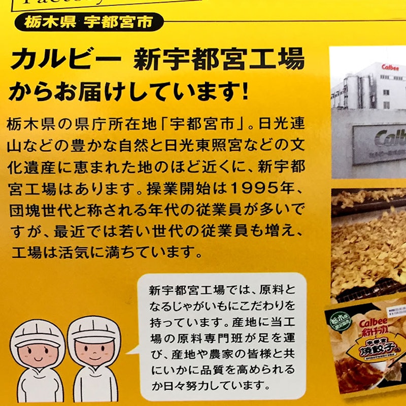 宇都宮餃子味 3