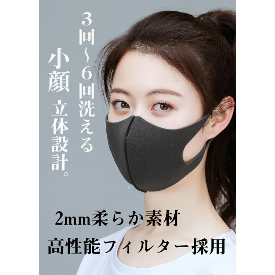 洗えるマスク 2
