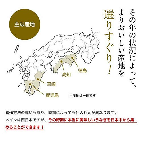 特大サイズの国産うなぎ蒲焼き 5