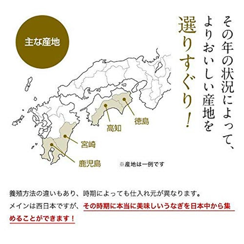 特大サイズの国産うなぎ蒲焼き 5