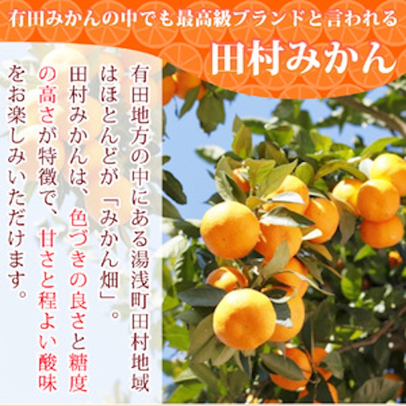 田村みかん 4