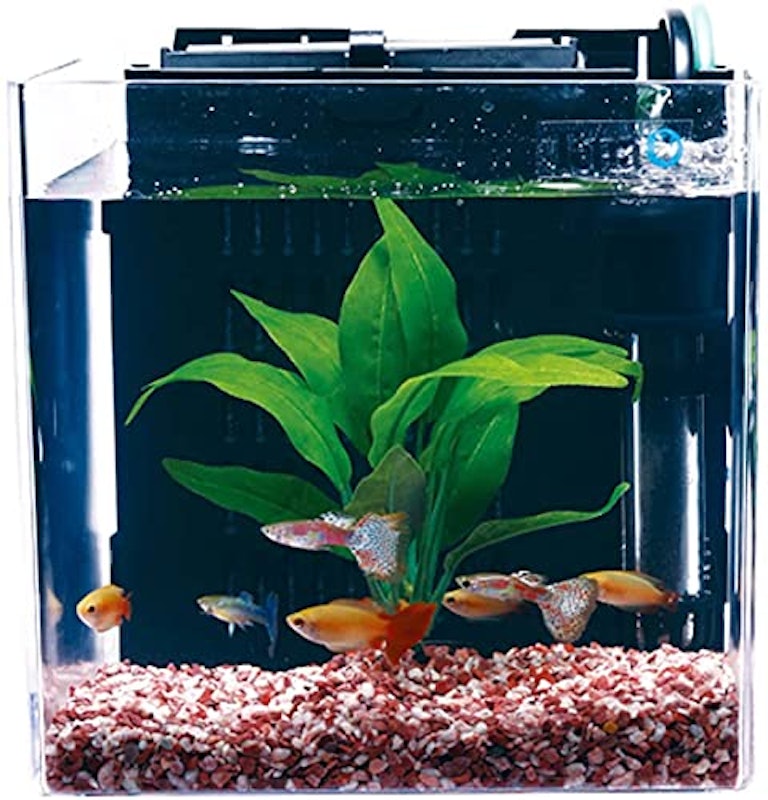 スマート熱帯魚飼育セット 1