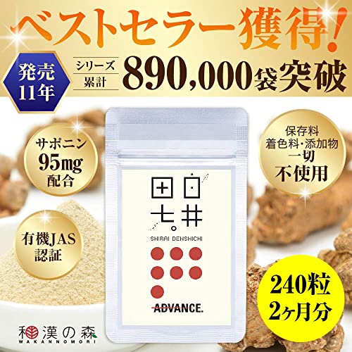 白井田七 2