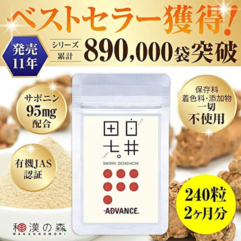 白井田七 2