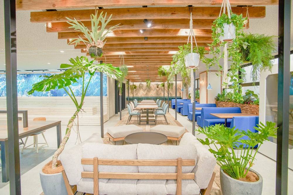 LULL TECH BEACH 2
