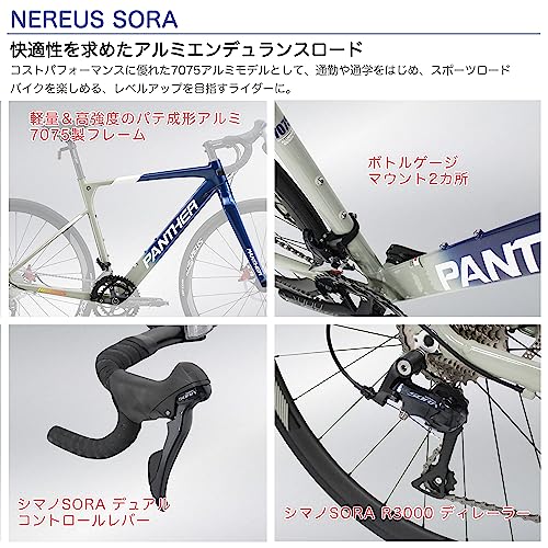 Nereus Sora 4