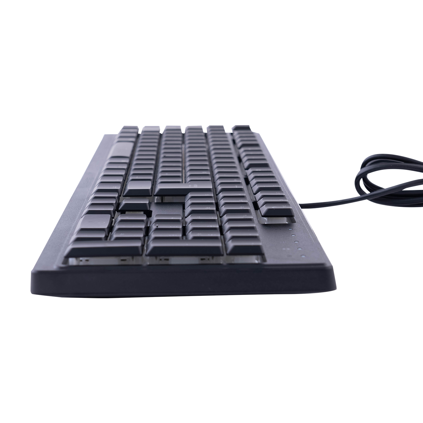 ORNATA V3 X 2