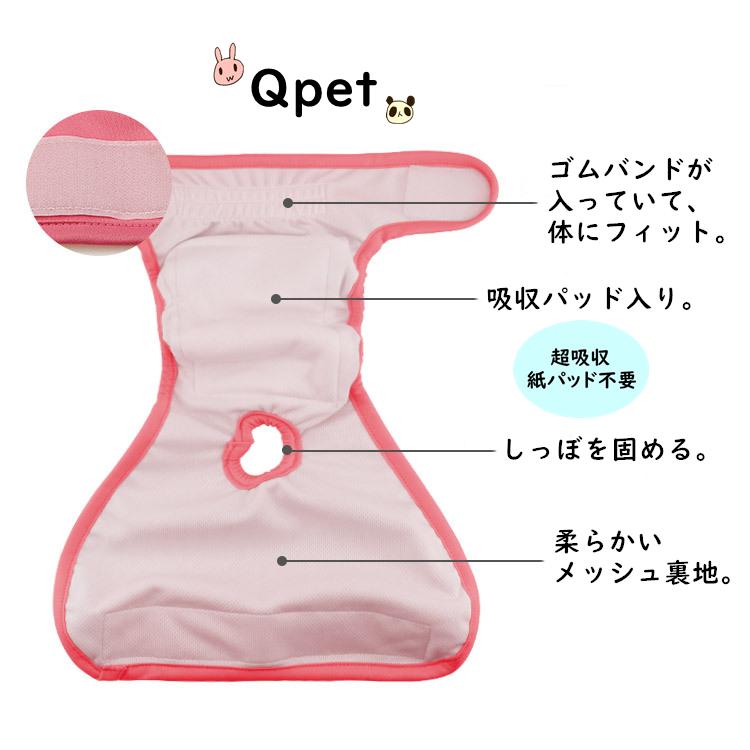 マナーパンツ 10