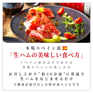 イベリコ豚のタパス 全4種セット 8