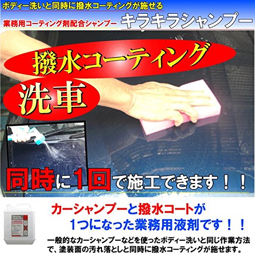 キラキラシャンプー 2