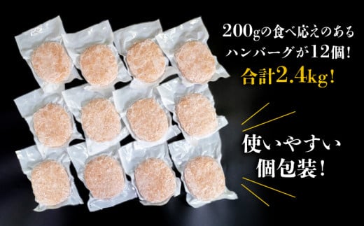 ハンバーグ 四万十ポーク入り 6