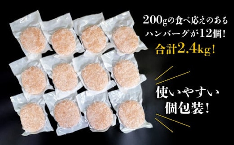 ハンバーグ 四万十ポーク入り 6