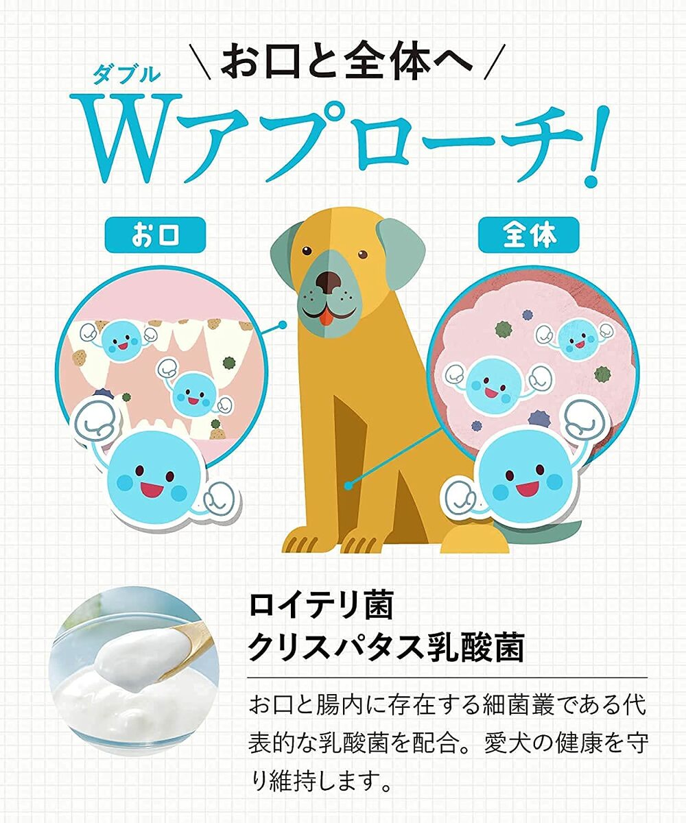 ドクターデンタルワン 6