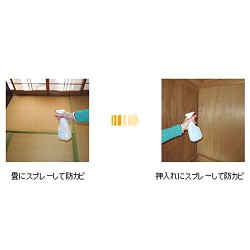強力防カビ剤 B-10スプレー  2
