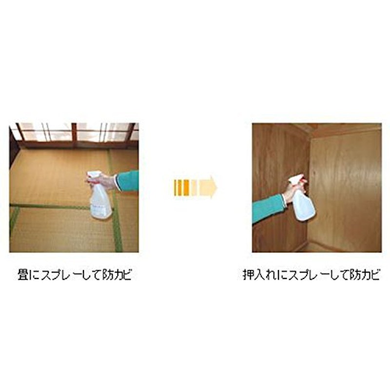 強力防カビ剤 B-10スプレー 2