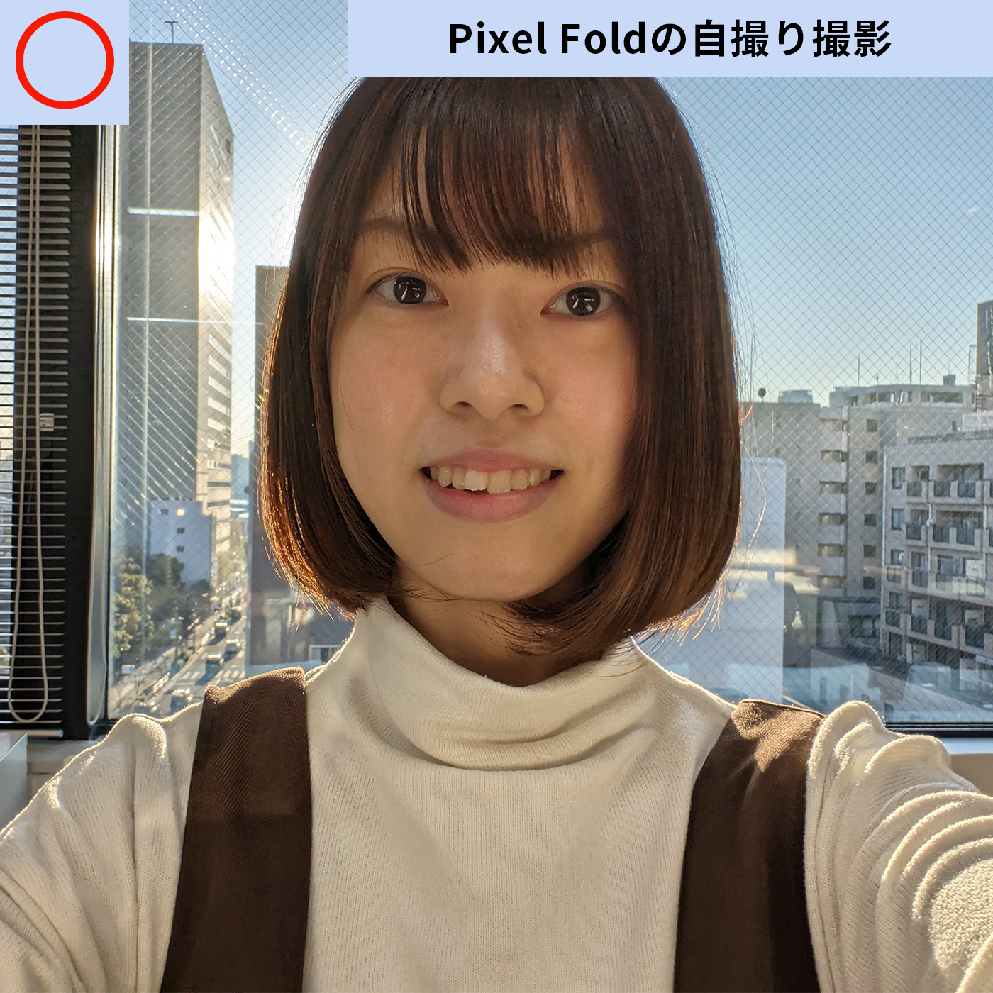 Pixel Fold 12