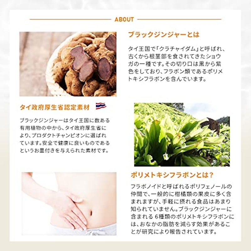 メタプラス ウエスト 6