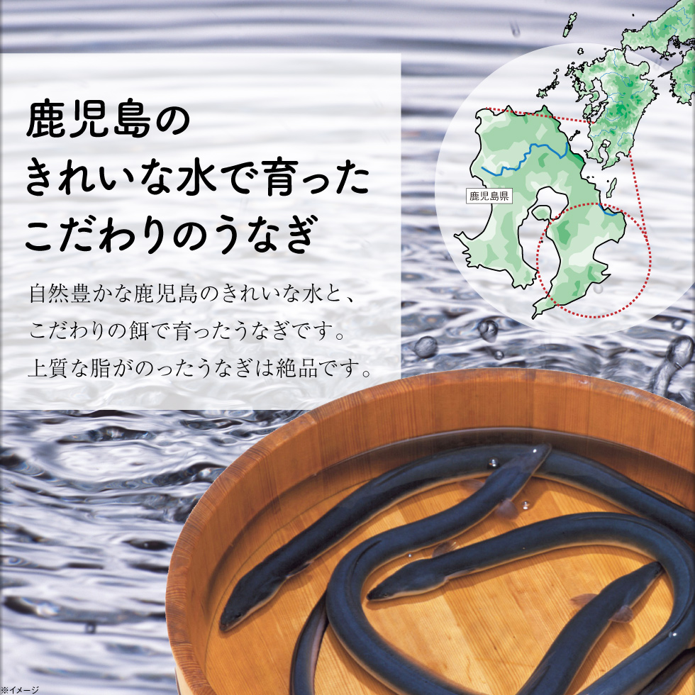 うなぎ蒲焼 2尾 2