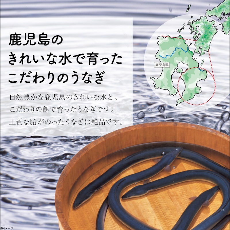 うなぎ蒲焼 2尾 2