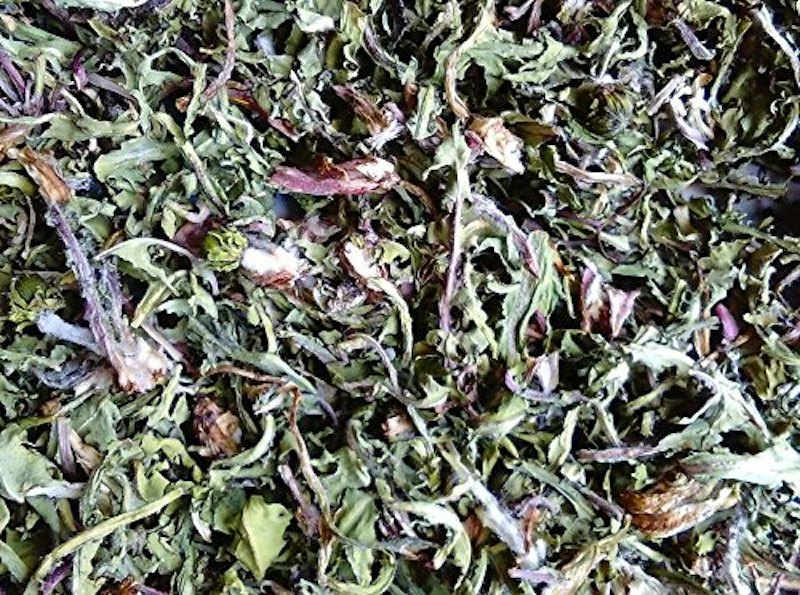 タンポポ茶 1
