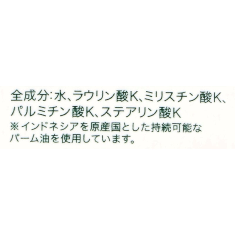 無添加 せっけんシャンプー 2