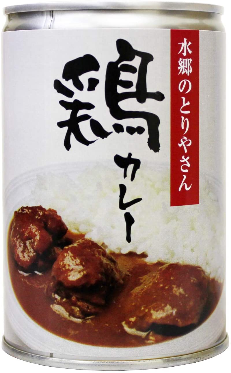 鶏カレー 1