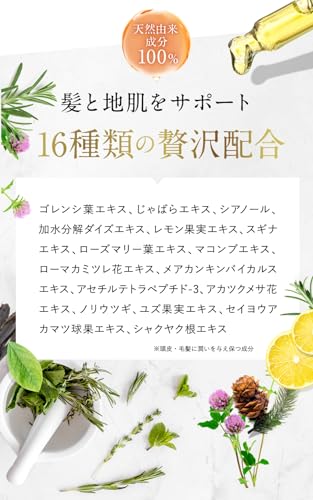ノアルフレ  3