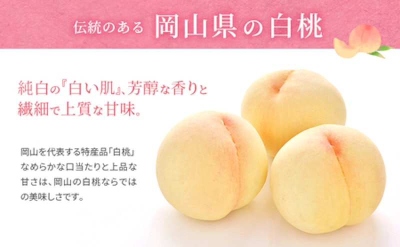 岡山県産 白桃 3