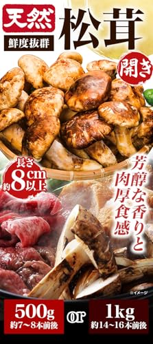 天然松茸開き 2