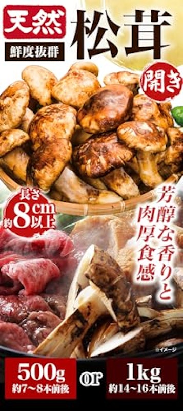 天然松茸開き 2