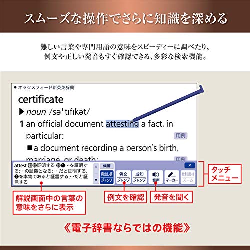 プロフェッショナル 6