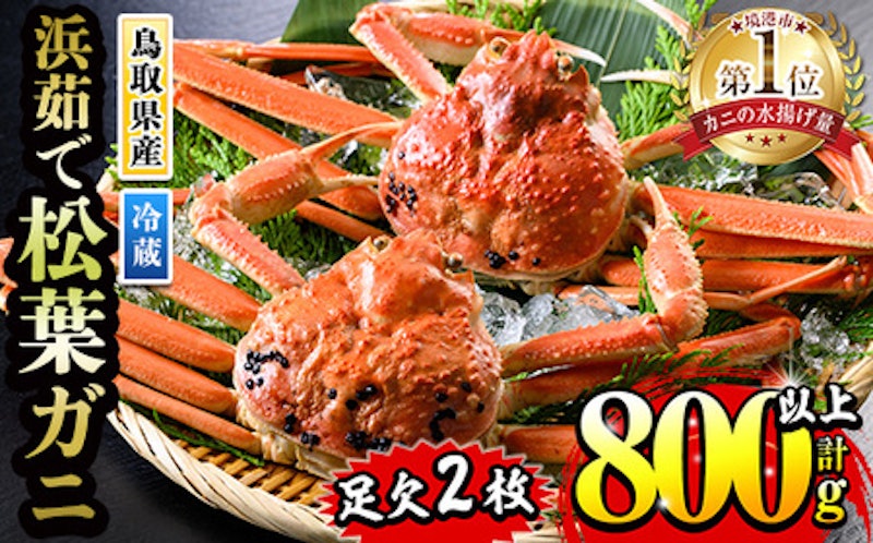 浜茹松葉ガニ足欠 1