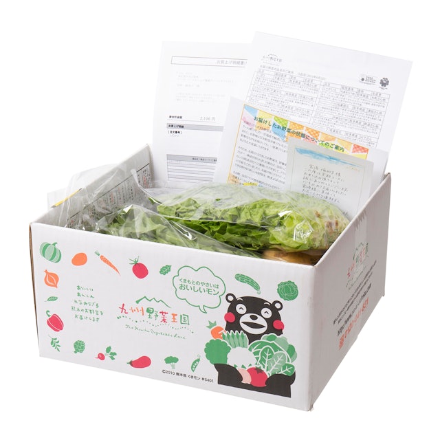 九州野菜王国を全21商品と比較 口コミや評判を実際に使ってレビューしました Mybest