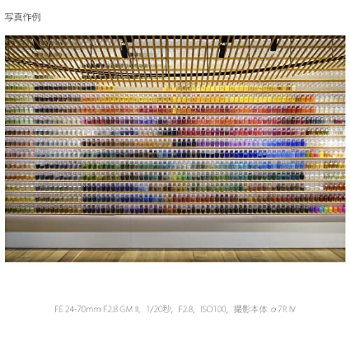 FE 24-70mm F2.8 GM II 14
