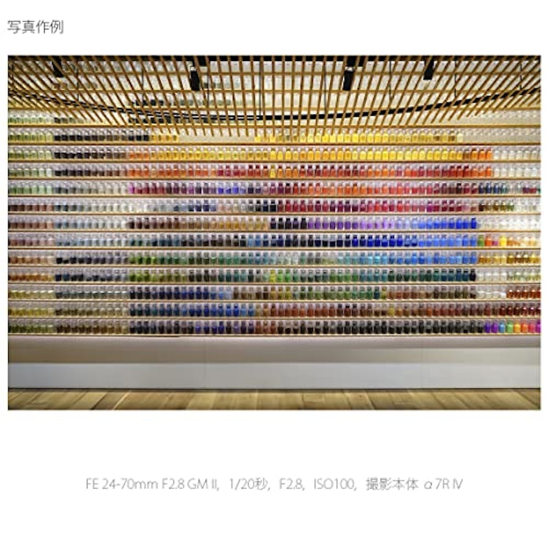 FE 24-70mm F2.8 GM II 14