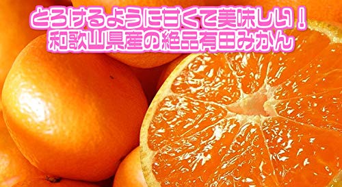 和歌山県産 有田・下津みかん 2