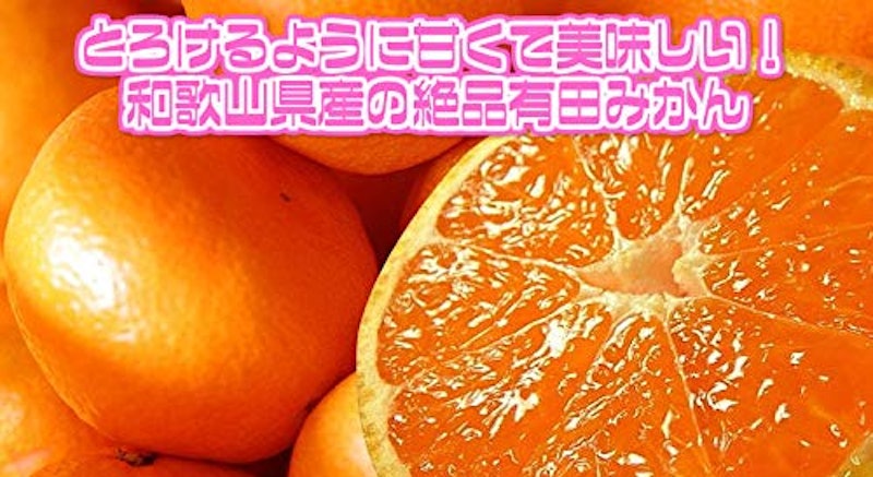 和歌山県産 有田・下津みかん 2