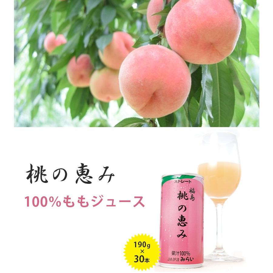 福島桃の恵み  3