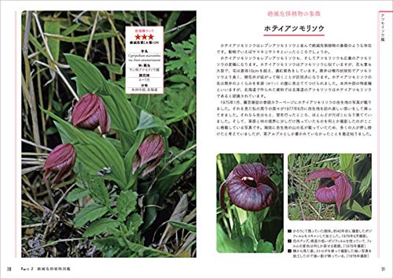 知っておきたい日本の絶滅危惧植物図鑑 3